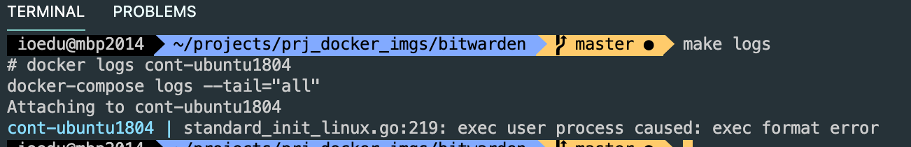 docker standard_init_linux.go: exec user process caused: exec format error